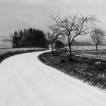 paysage de neige