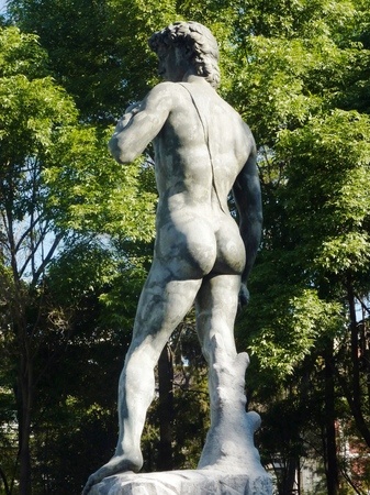 un epilateur un epilateur