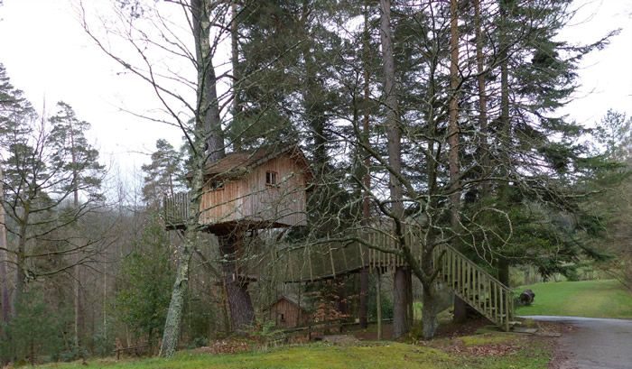 Les cabanes dans les arbres en Alsace