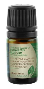 Huile Essentielle d’Eucalyptus Globulus – 10ml